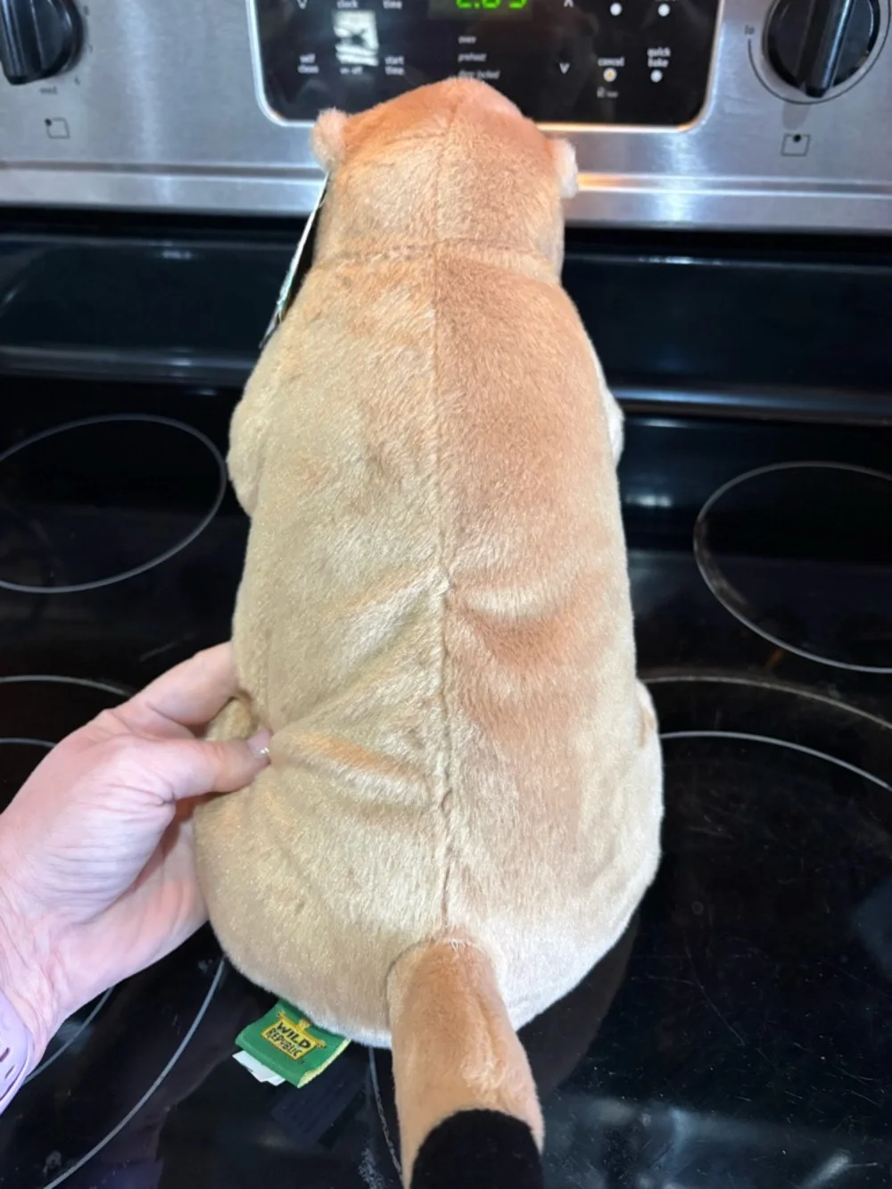 Plush Small Pet Toy - Cream Standing Plush Prairrie Dog